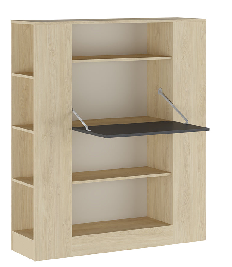 ESTANTERÍA CON MESA ESTUDIO DONALD 2 EN 1