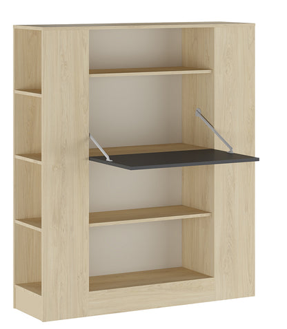 ESTANTERÍA CON MESA ESTUDIO DONALD 2 EN 1